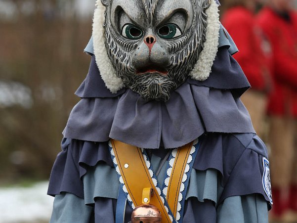 2013_Mühlenbach_Narrentreffen